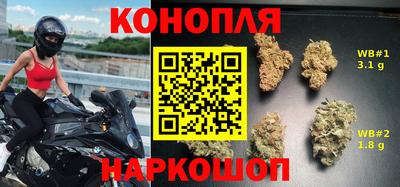 индика Кунгур