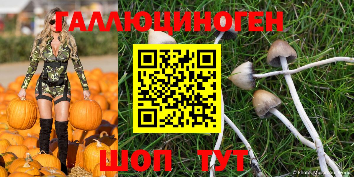 Псилоцибиновые грибы Magic Shrooms Еманжелинск