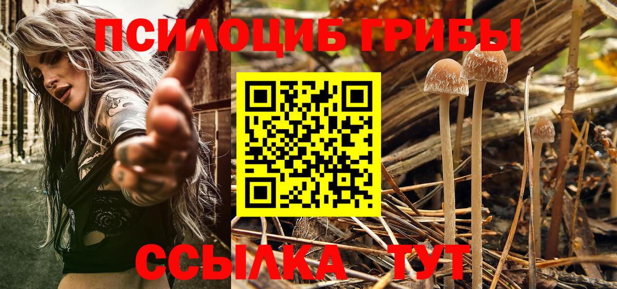 Галлюциногенные грибы прущие грибы  купить наркоту  Еманжелинск  Вход с VPN 